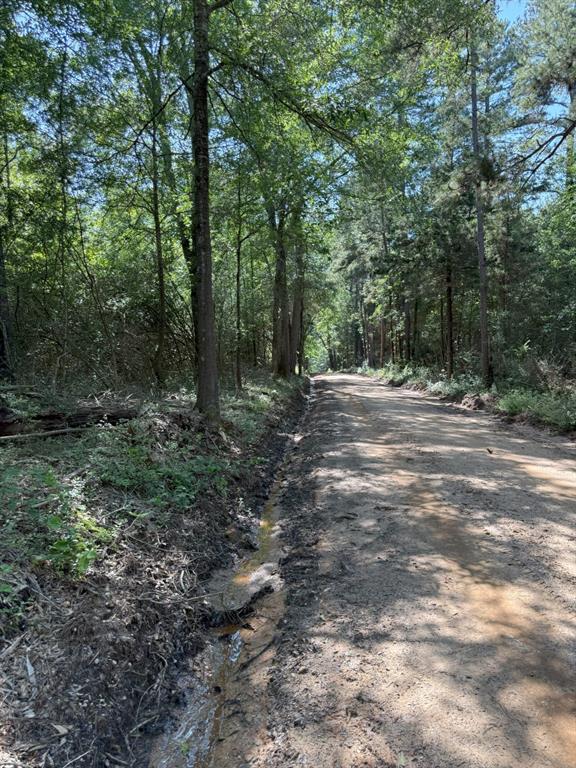 Tbd-g County Road 4021 Property Photo 6