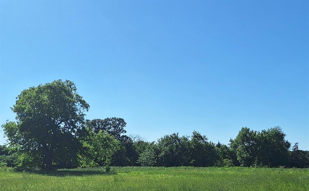 Tbd County Rd 3512, Lot 35 Property Photo