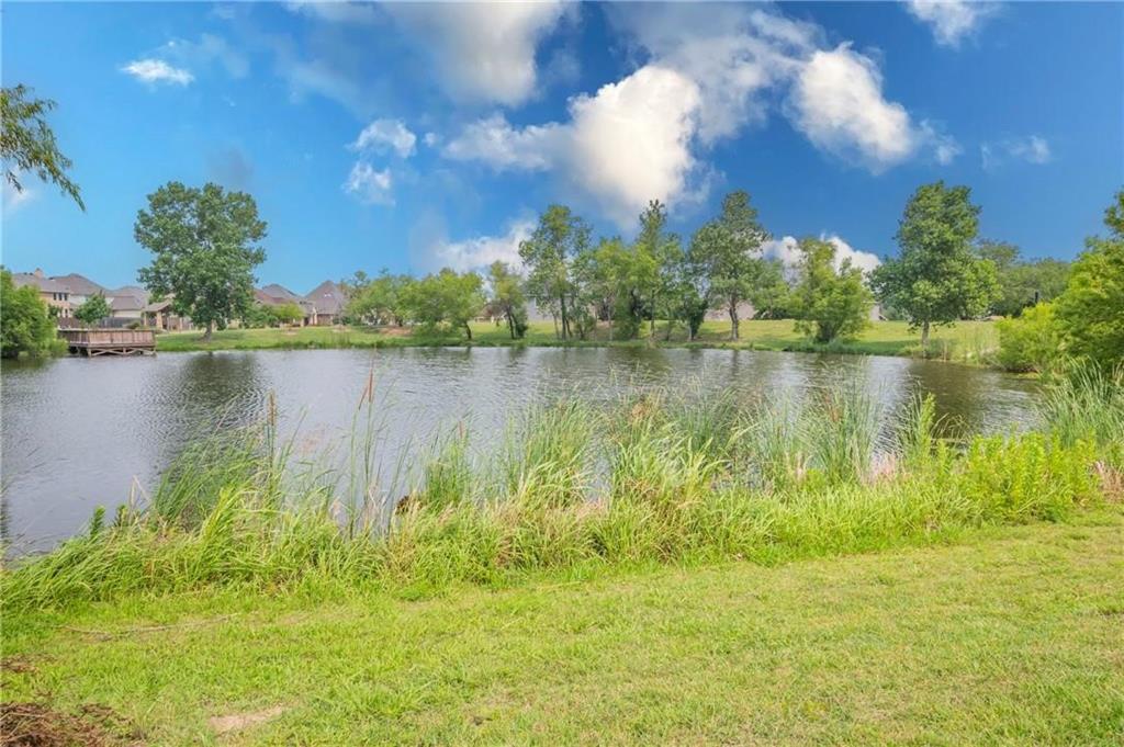 10257 Biltmore Drive Property Photo 33