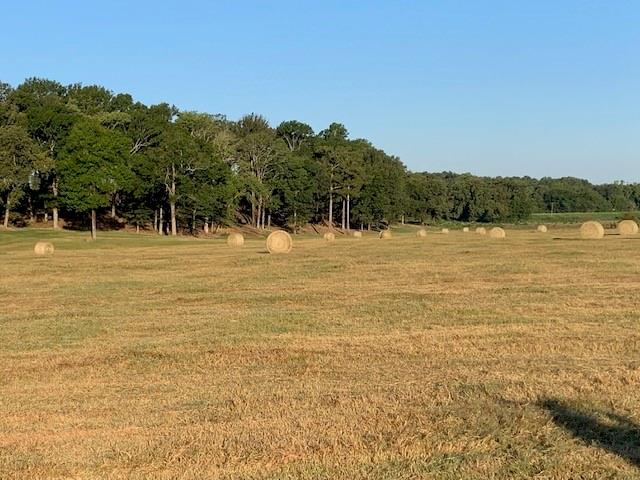 00 Hwy 71 Property Photo 4