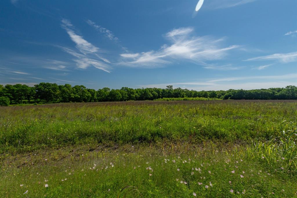 1625 Fm 904 Es Property Photo 14