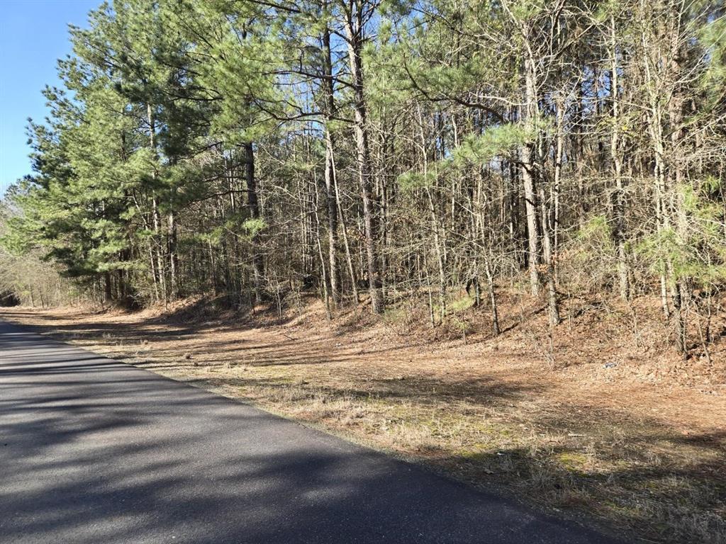 10040 Cook Road Property Photo 8
