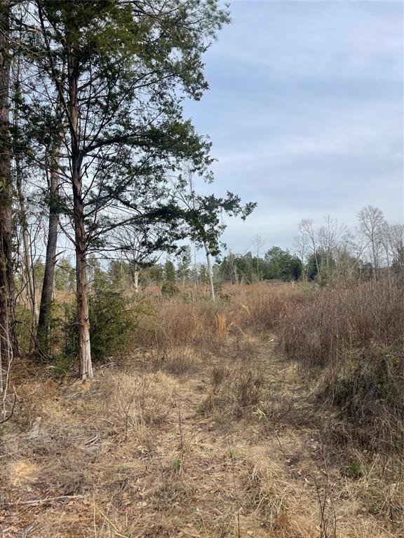 Tbd Cr 272 Property Photo