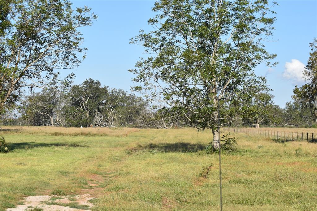8734 Fm 521 Property Photo 1