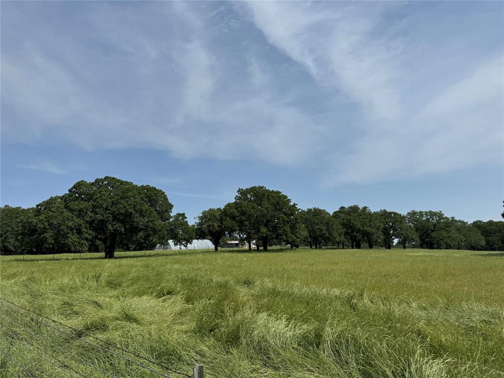1300 Rodgers Road Property Photo 12