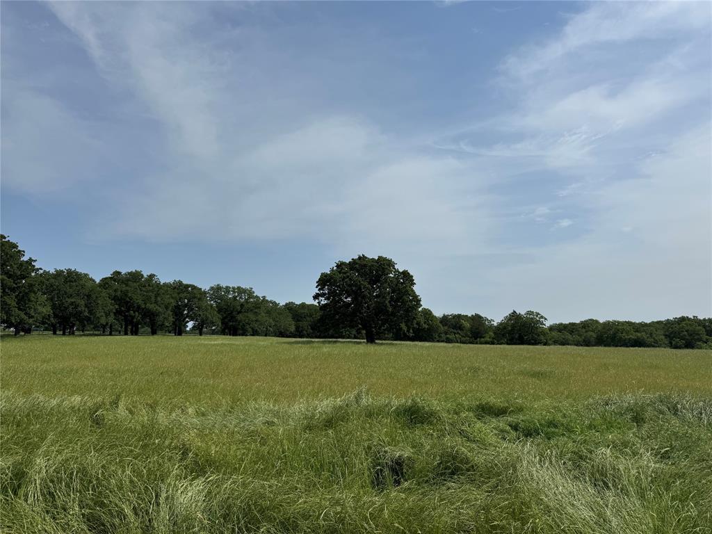 1300 Rodgers Road Property Photo 13