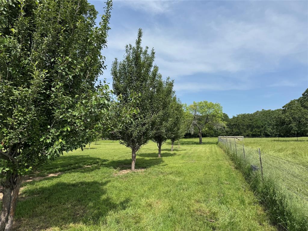 1300 Rodgers Road Property Photo 16