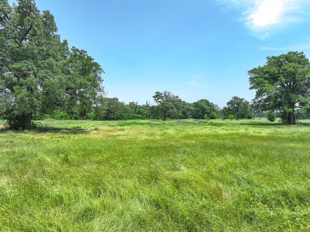 Tbd County Road 1131 Property Photo 4