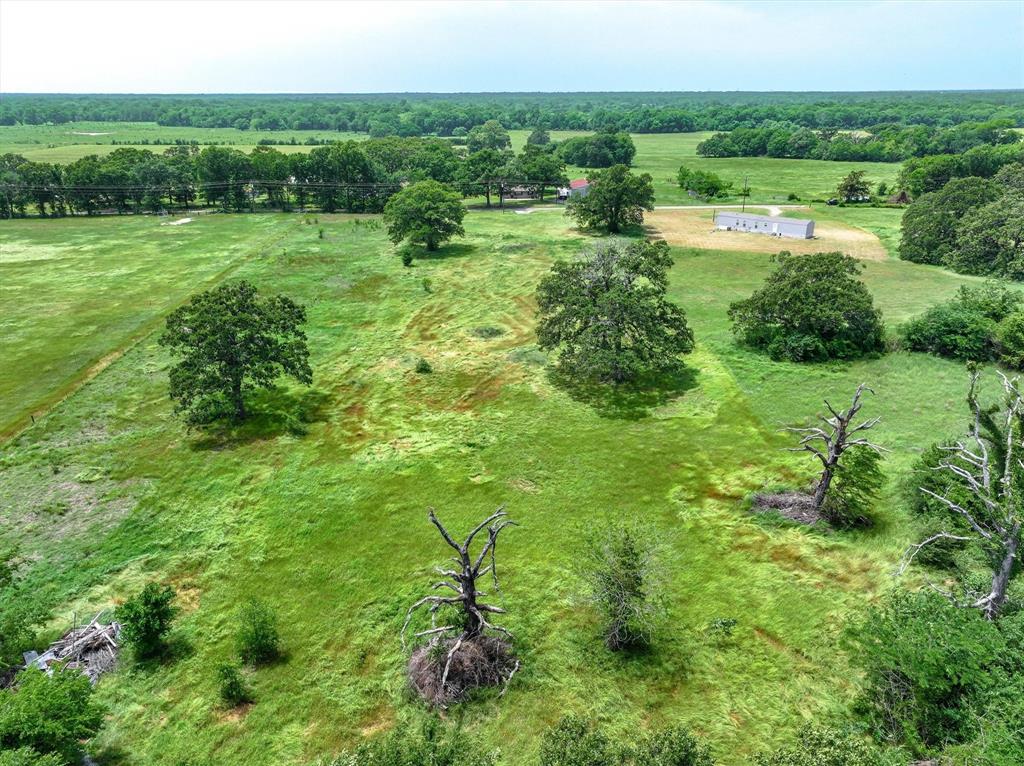 Tbd County Road 1131 Property Photo 6
