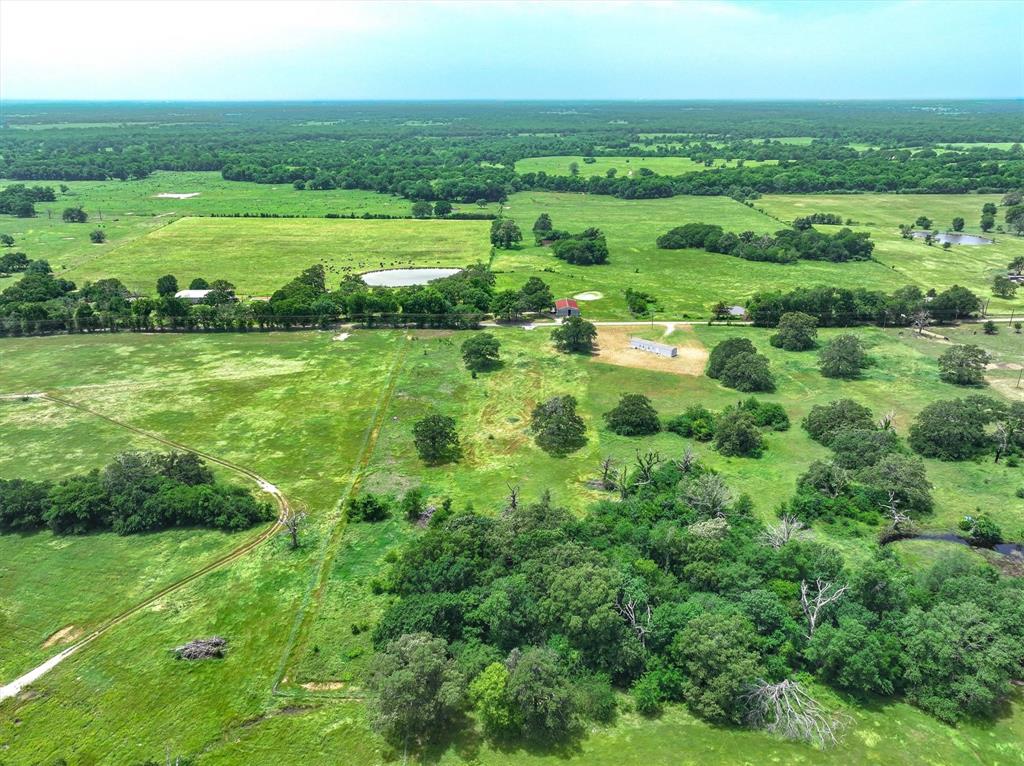 Tbd County Road 1131 Property Photo 8