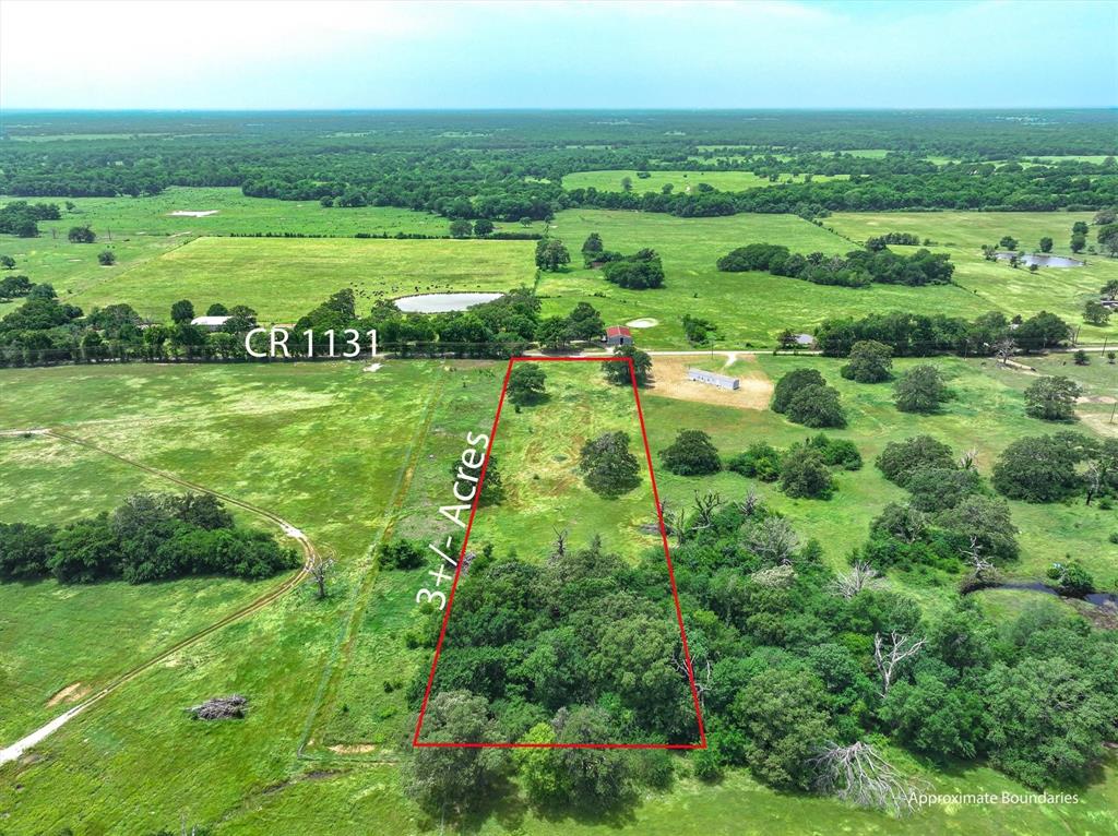 Tbd County Road 1131 Property Photo 9