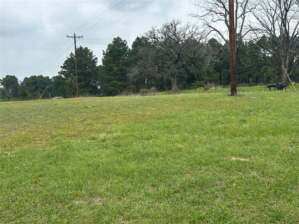Tbd B An County Road 2110 Property Photo