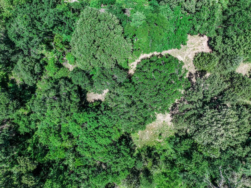Tbd Pvt Rd 6142 Property Photo 22