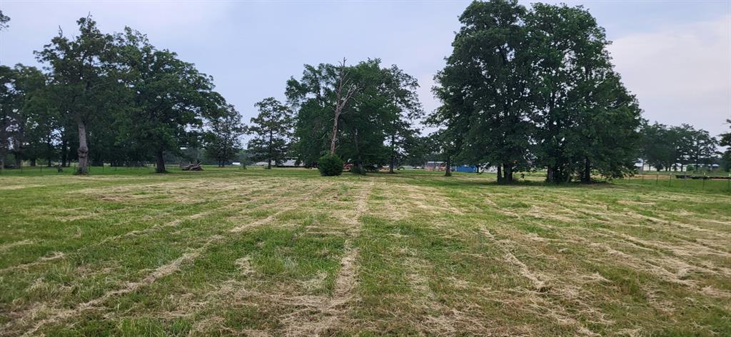Tbd Cr 1730 Property Photo 3