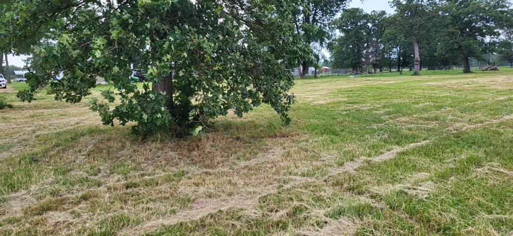 Tbd Cr 1730 Property Photo 4