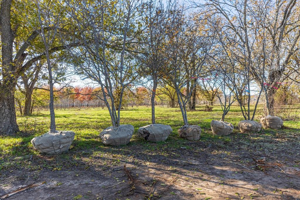 6407 S Us Highway 377 Property Photo 38