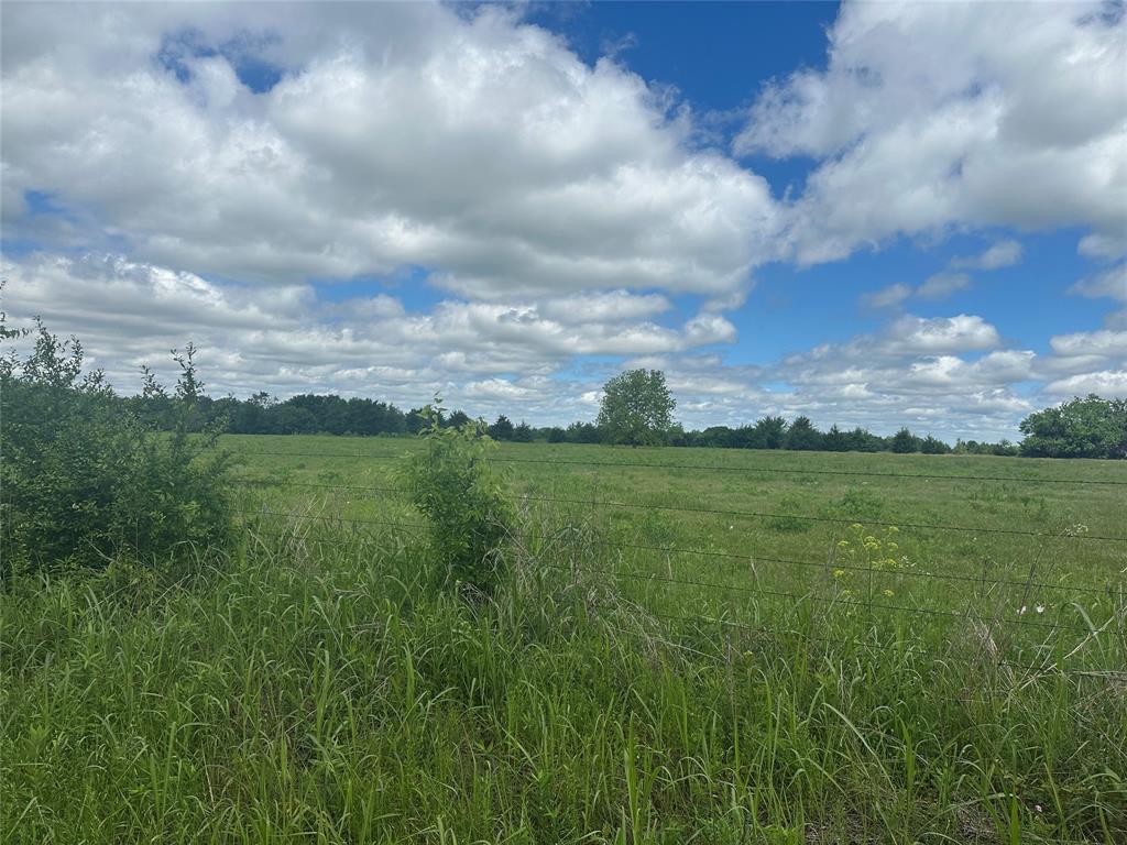 Lot 10 County Road 1400 Property Photo 1