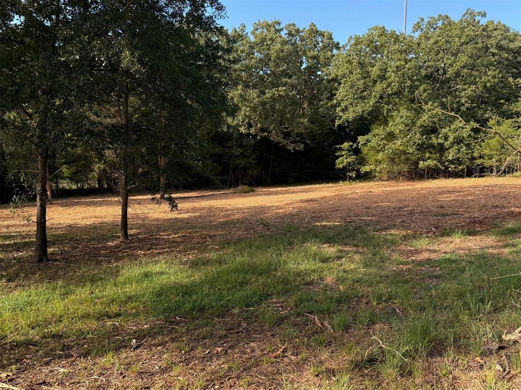 Tbd Fm 859 Property Photo 2