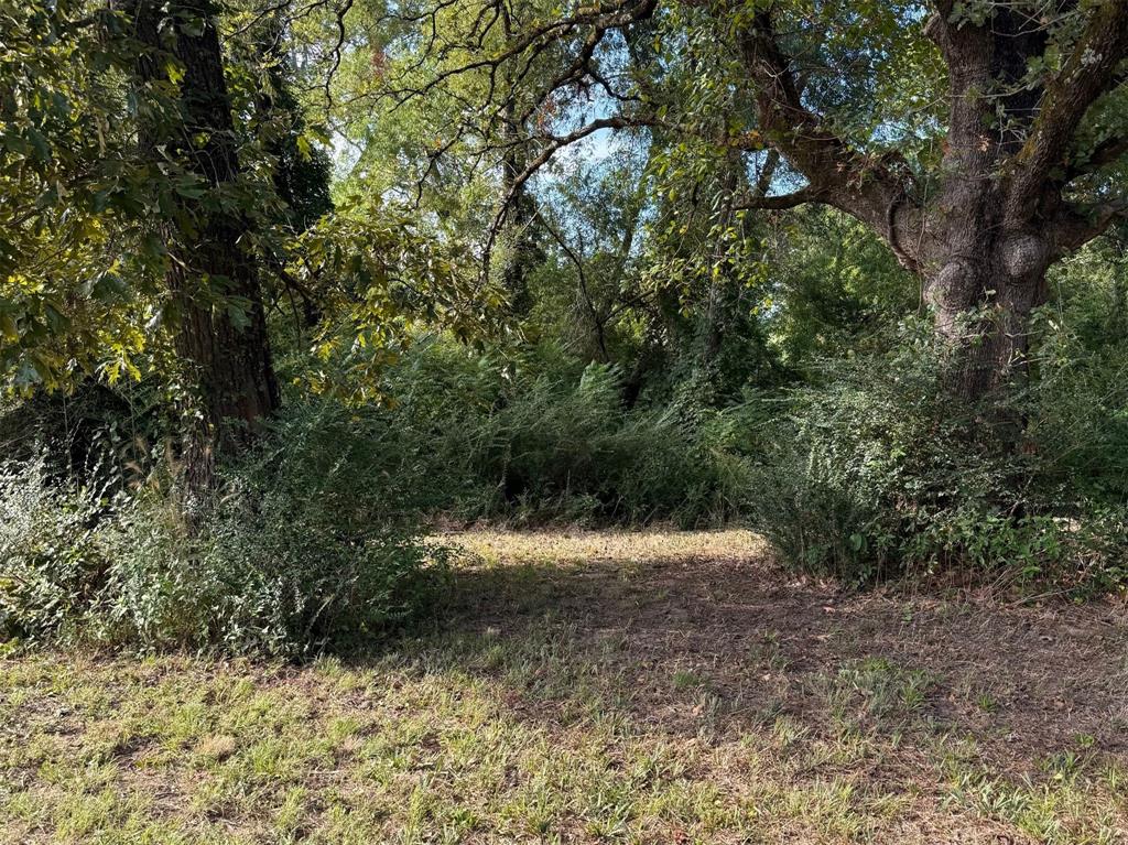 Tbd Fm 859 Property Photo 3