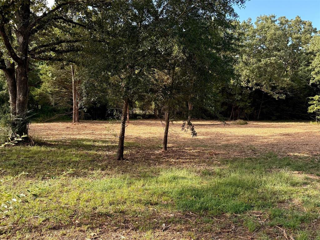 Tbd Fm 859 Property Photo 6