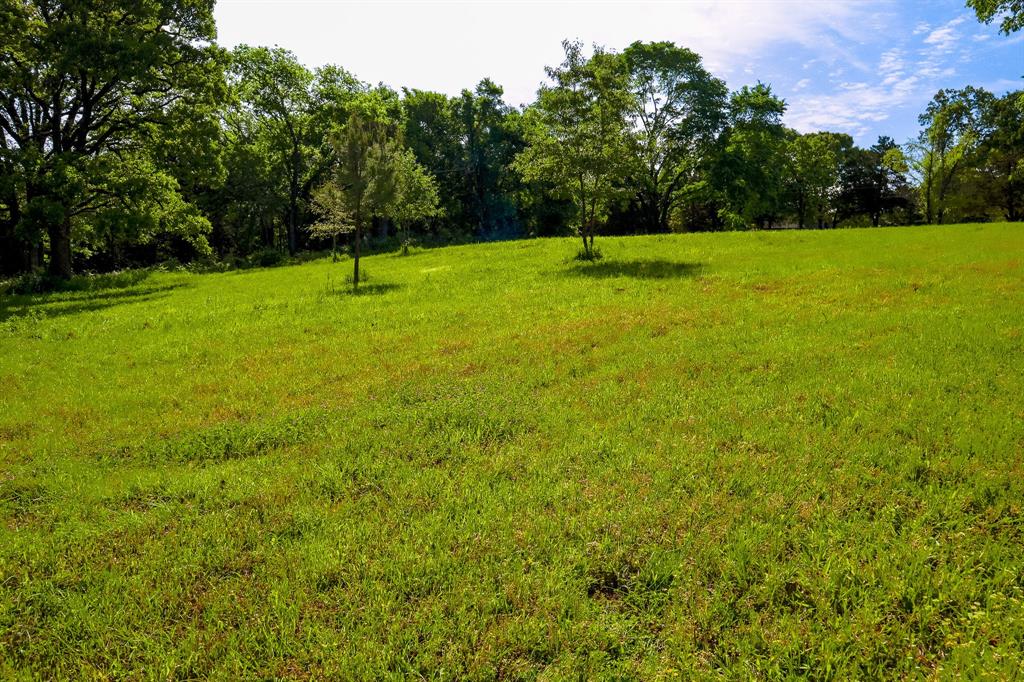 Tbd Fm 859 Property Photo 7