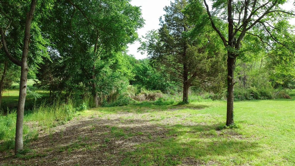 Tbd Fm 859 Property Photo 9