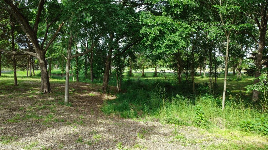 Tbd Fm 859 Property Photo 11