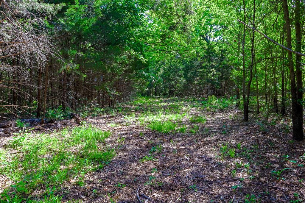 Tbd Fm 859 Property Photo 12