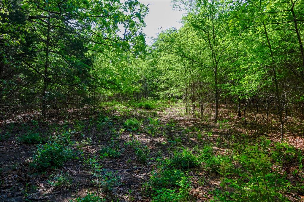 Tbd Fm 859 Property Photo 13