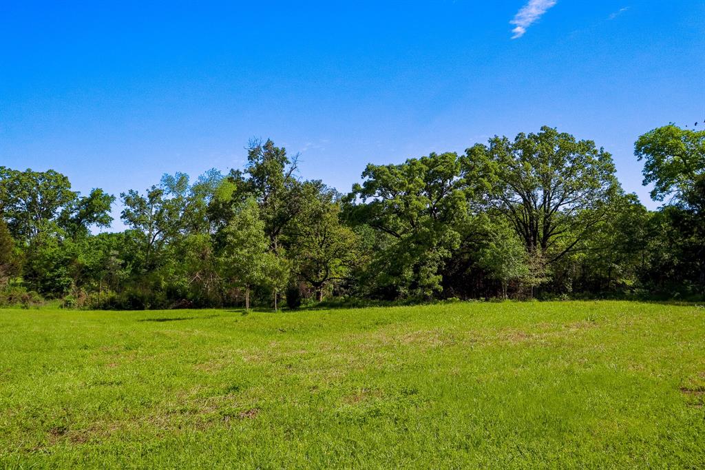 Tbd Fm 859 Property Photo 16