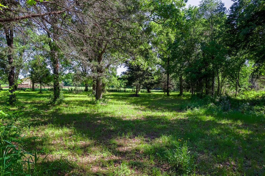 Tbd Fm 859 Property Photo 18