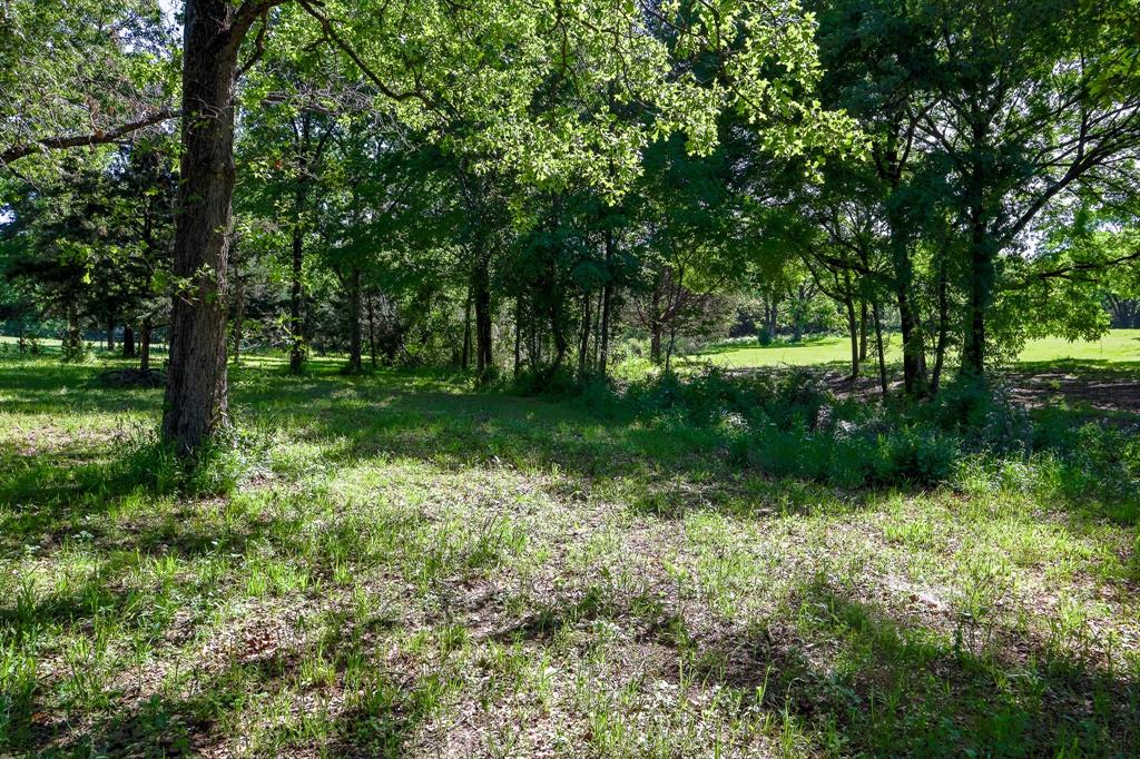 Tbd Fm 859 Property Photo 19