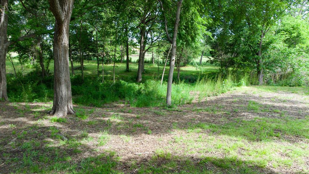 Tbd Fm 859 Property Photo 20