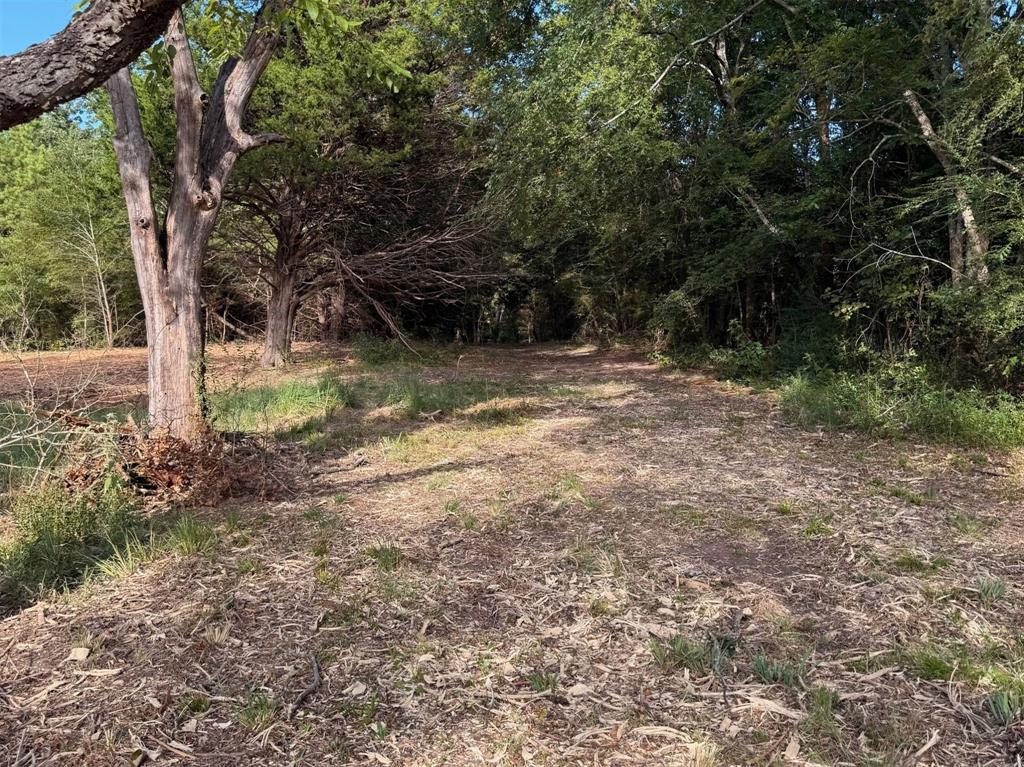 Tbd Fm 859 Property Photo 22