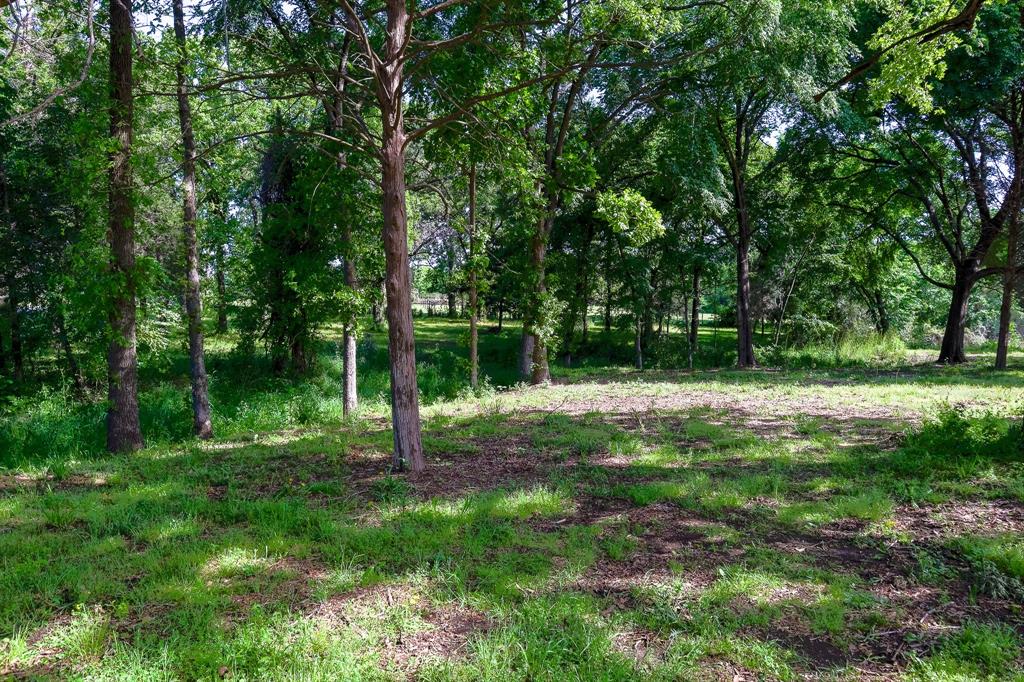 Tbd Fm 859 Property Photo 25