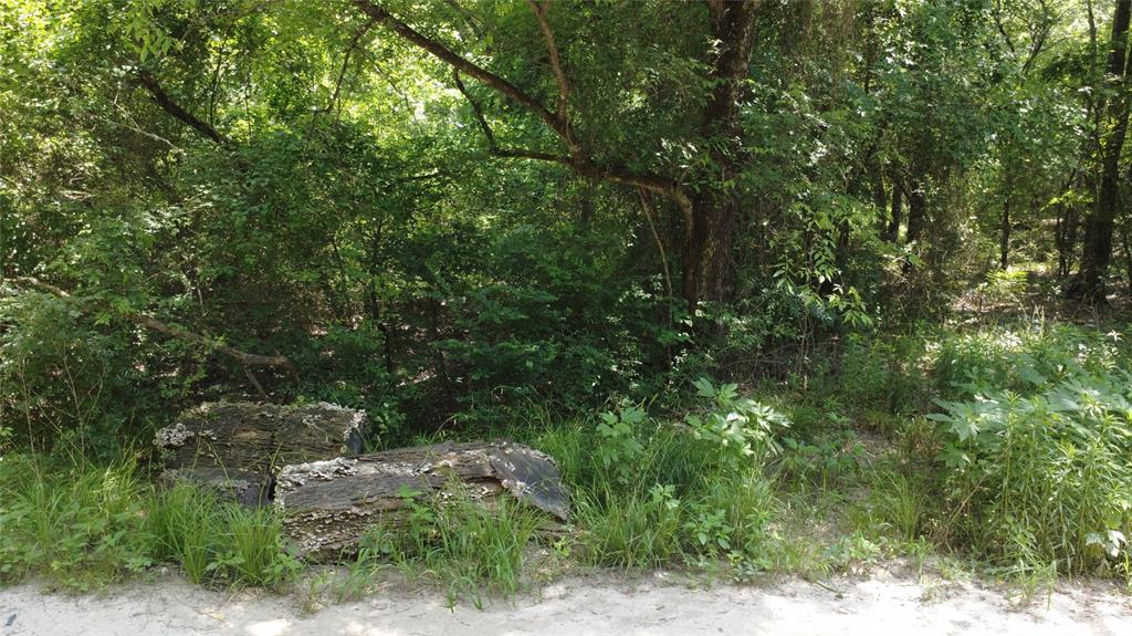 Tbd 1.9 Acres Lot 36 Property Photo 3