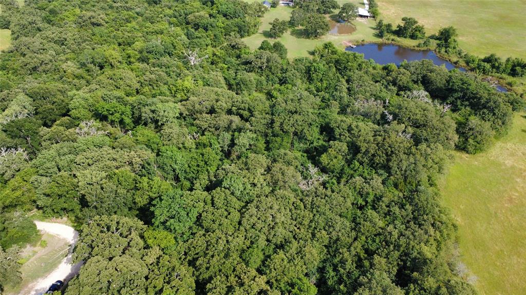 Tbd 1.9 Acres Lot 36 Property Photo 5