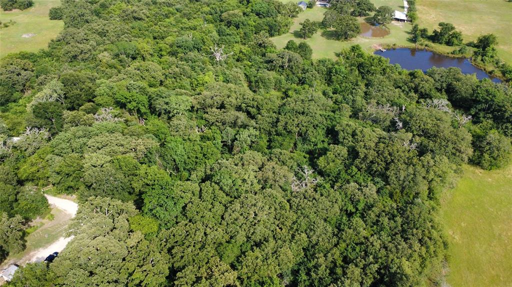 Tbd 1.9 Acres Lot 36 Property Photo 6