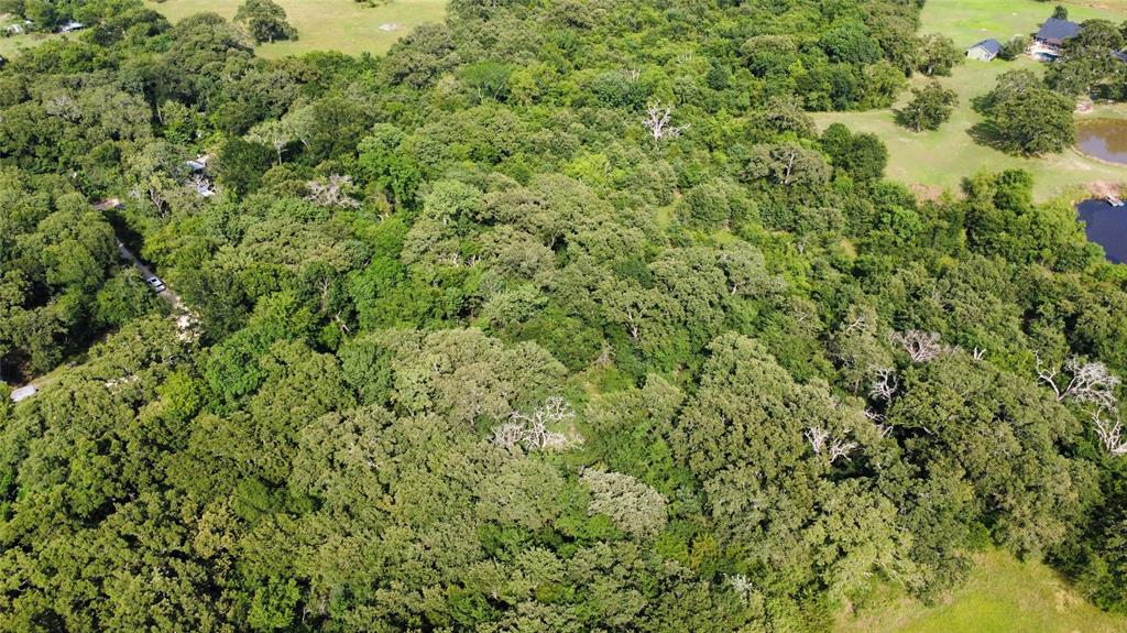Tbd 1.9 Acres Lot 36 Property Photo 9