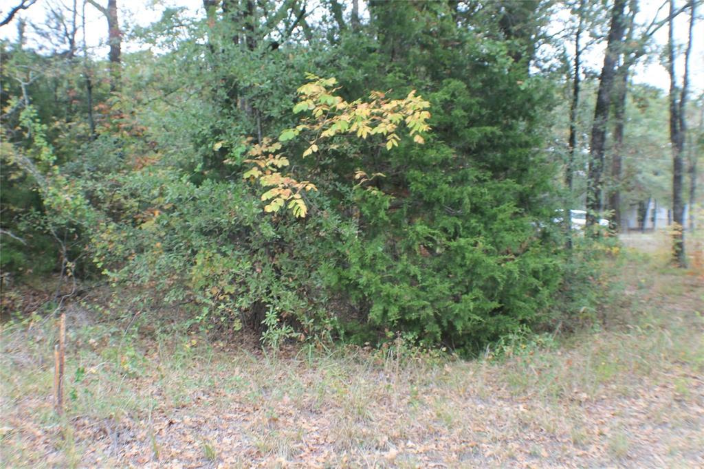 0 Inca Drive Property Photo 1