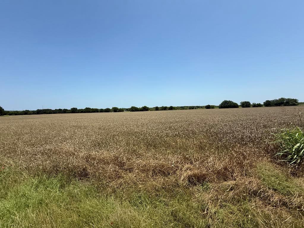 584 Millsap Highway Property Photo 12