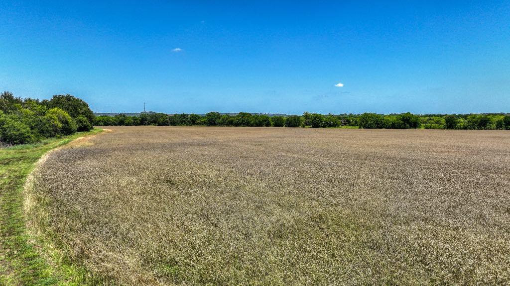 584 Millsap Highway Property Photo 13