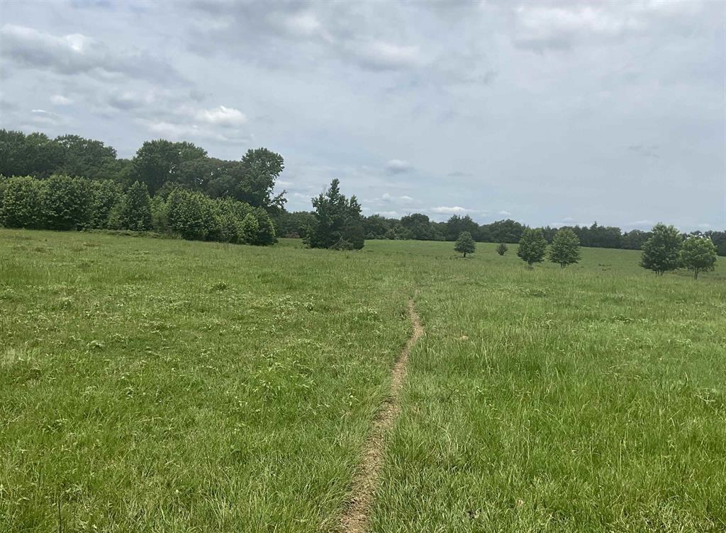 Tbd County Road 2314 Property Photo 1