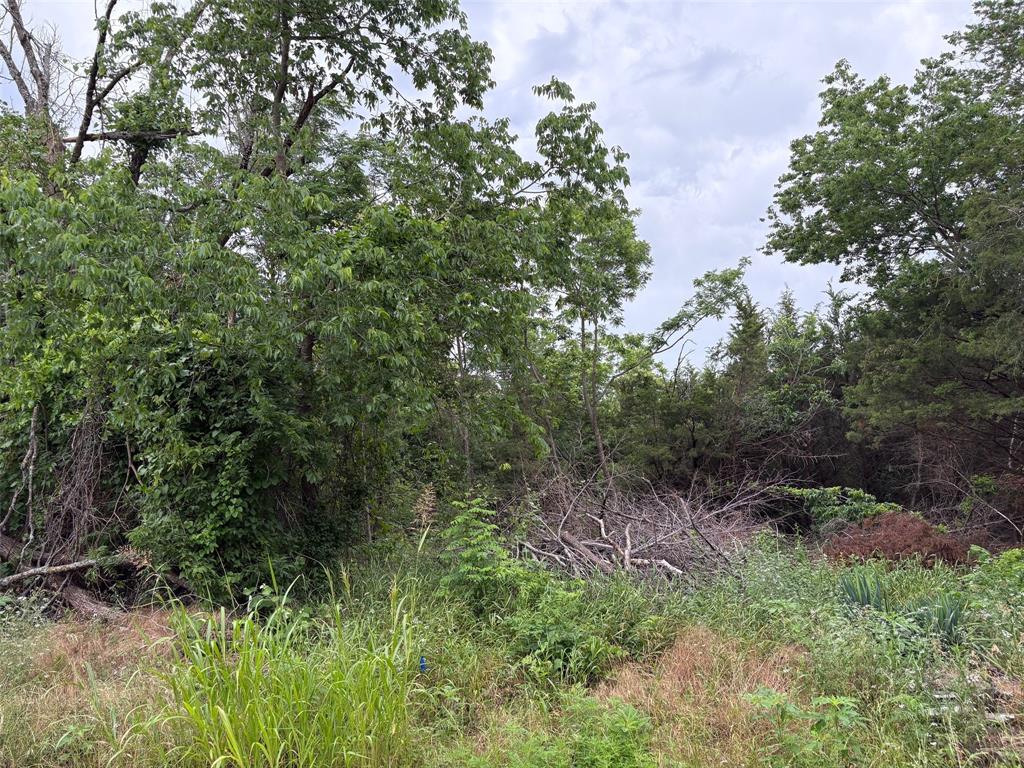 721 W Parnell Street Property Photo 1