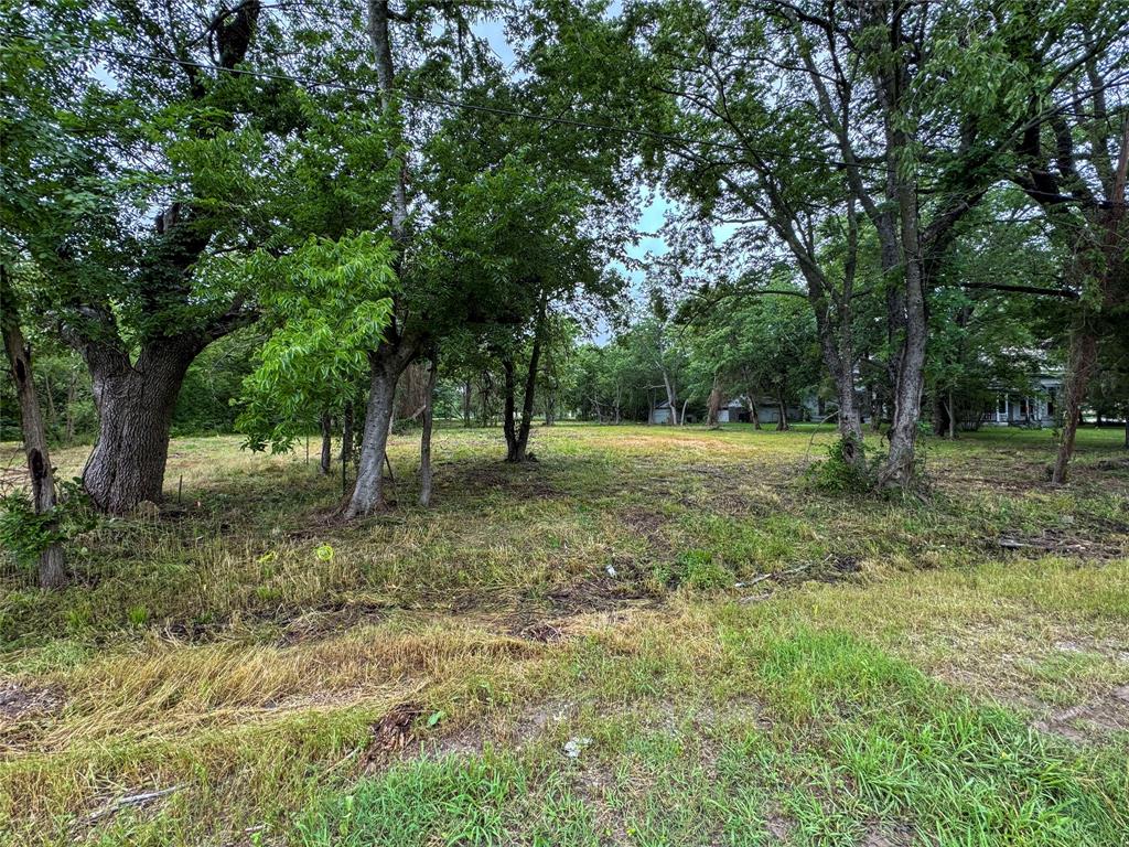 1319 Cedar Street Property Photo 1