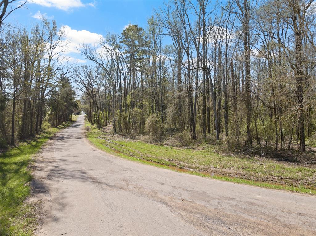 Lot 3 Cr 4365 Property Photo 2
