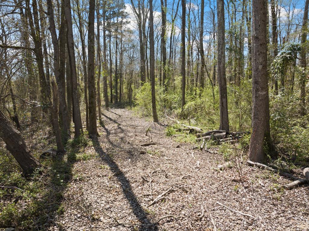 Lot 3 Cr 4365 Property Photo 3