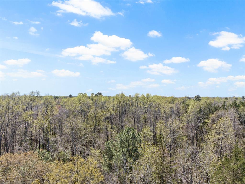 Lot 3 Cr 4365 Property Photo 4