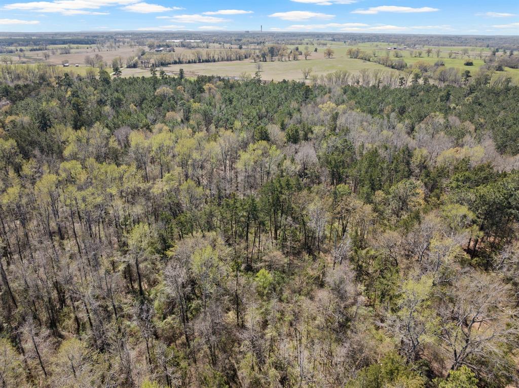 Lot 3 Cr 4365 Property Photo 5