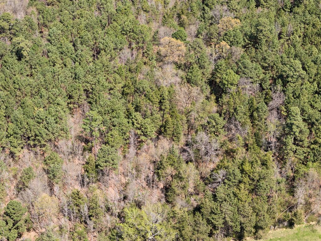 Lot 3 Cr 4365 Property Photo 6
